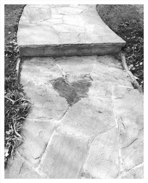 Path Bw Photography Art | Levz Art