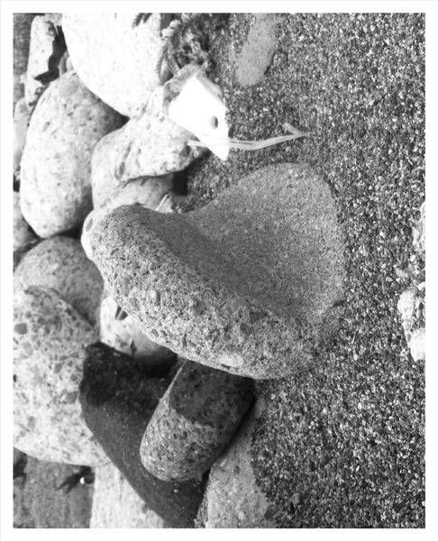 Beach Find Photography Art | Levz Art