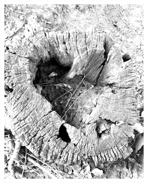 Hole In The Heart Photography Art | Levz Art