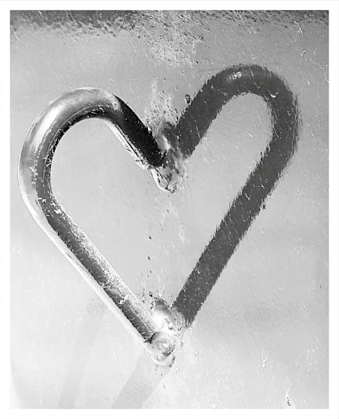 Bent Into Shape Photography Art | Levz Art