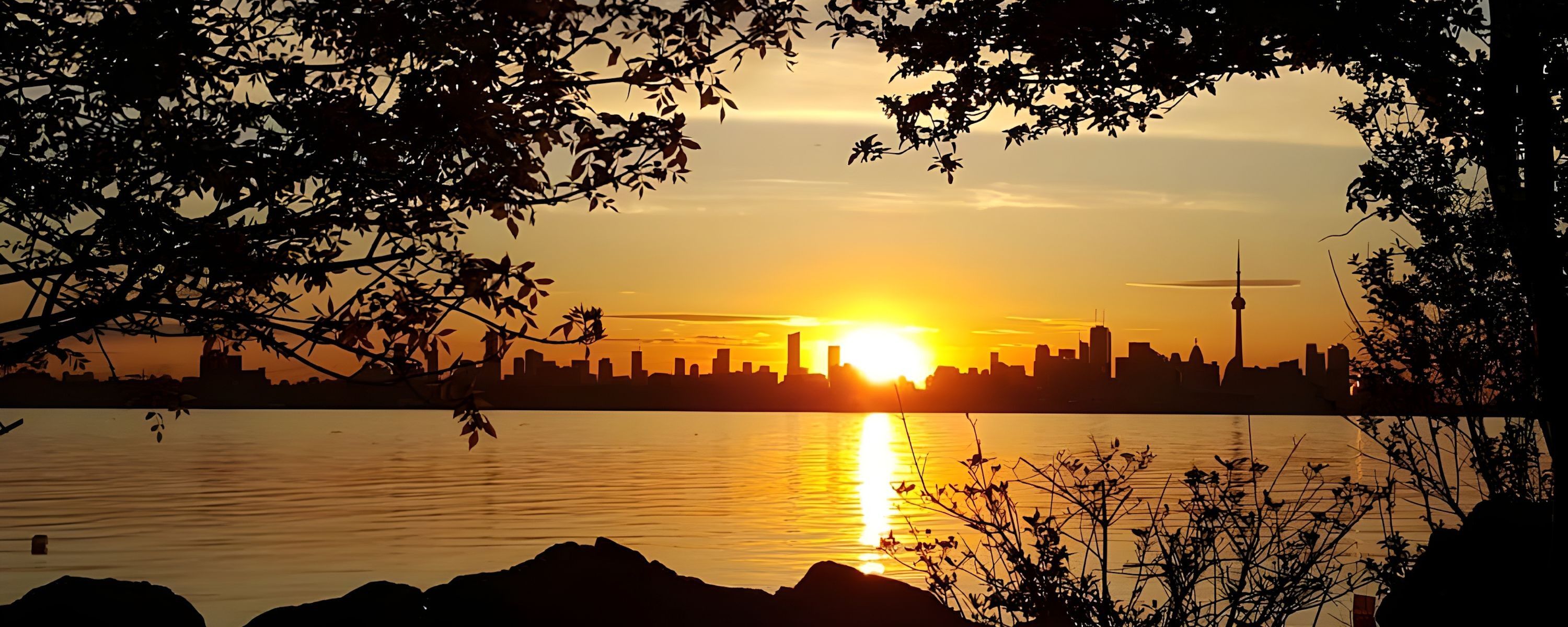 
        <div class='title'>
          BB3
        </div>
       