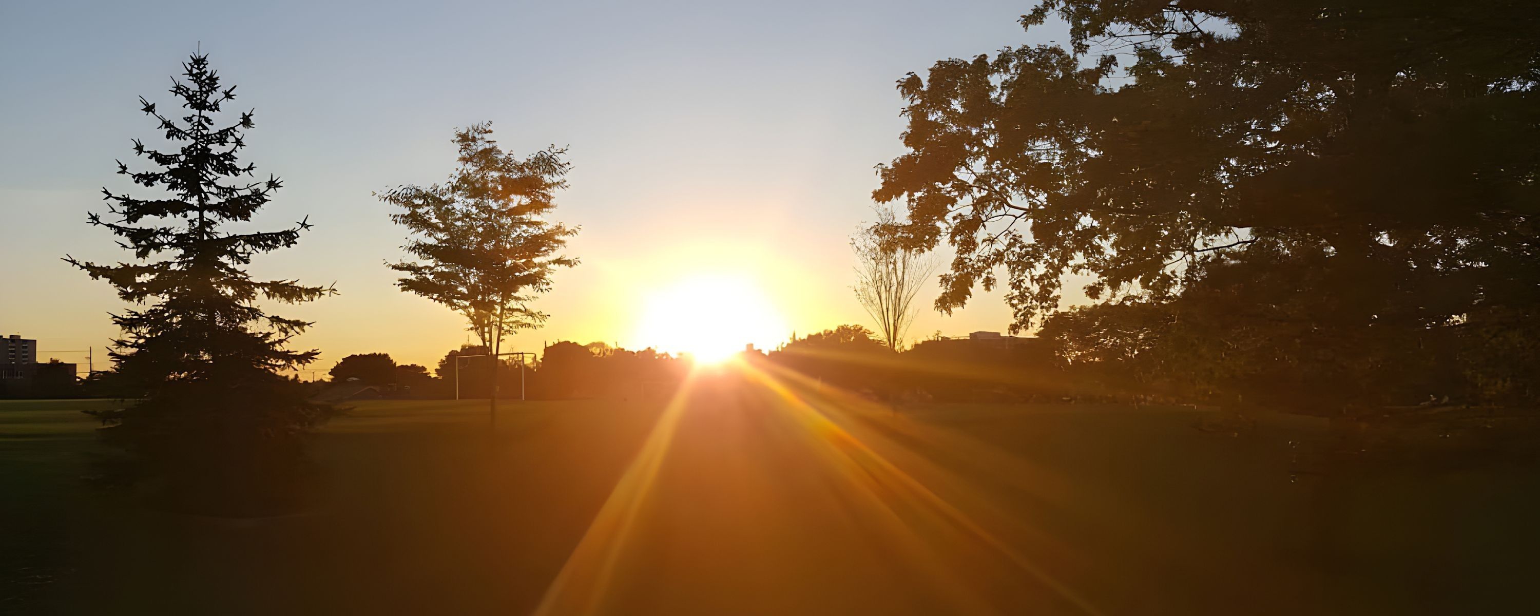 
        <div class='title'>
          BB4
        </div>
       