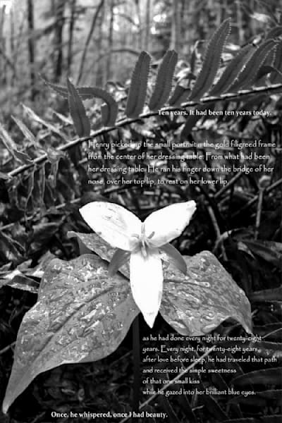 Once Beauty
