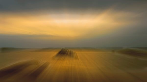 Movement