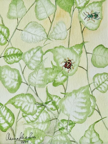 Keet O Patangya Insects & Flies