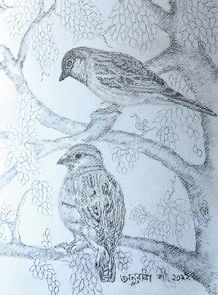 Sketch Work