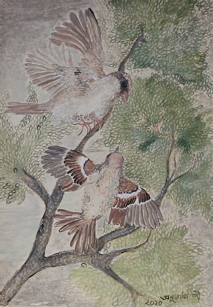 House Sparrow Series