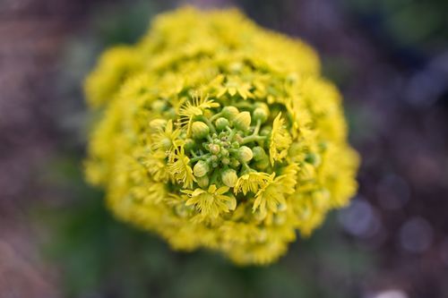 Mdawmdawmdawmdaw7qgraepd6cacehr zcfbfywxu2fyveayeunrgwctqqqltnerwweter6yomfiojy24adow ljj7f22f2vd2s3k0fn 38ezqodftc2xeuhdjufahdziomokxodj3hs jg da6ji5eudq olwagpj5emn42s2mka8fkexlbmeeju5yorhizokrn clor7psfbfzlnw7xpglr1e 6ftzfk7gmyfumr lib26uwcosewvd7b67mbzhnstm618nzulehr9153map1bcd4t0ruoxfpbftyfro5h4g1o