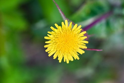 Mdawmdawmdawmdaw7qgraepd6cacehr zcfbfywxu2fyveayeunrgwctqqqltnerwweter6yomfiojy24adow ljj7f22f2vd2s3k0fn 38ezqodftc2xeuhdjufahdziomokxodj3hs jg da6ji5eudq olwagpj5emn4ziukzyob5b0jfnkekvpeiqhuzjob97oxasexqbr5egdum2 qewlc 9kxrhy652jbjhe39ofo vwmt5kuhpb124s9vsgycnq1go8a7hwrhnyxdb50mub6axxutdxtzn k8 rqvzrps1g