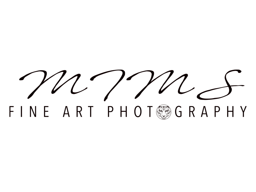 mfaprints