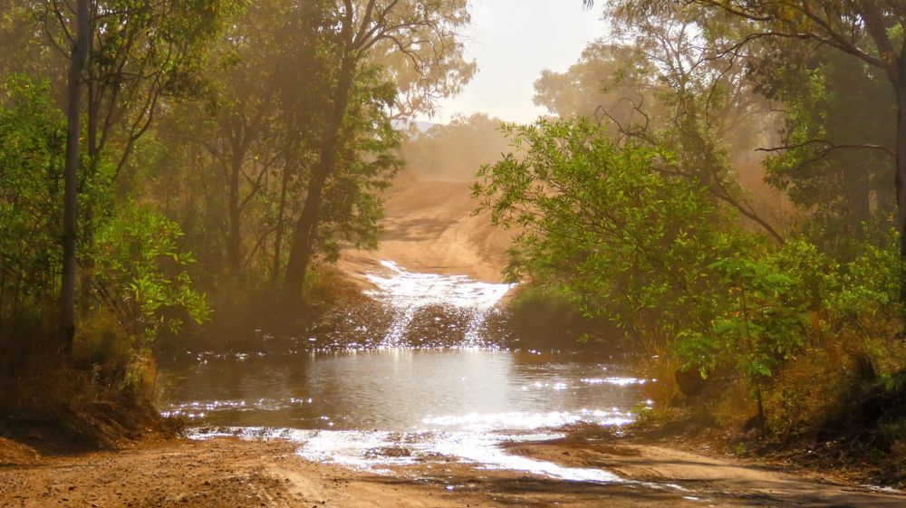 "Crossing The Billabong" Photography Art | Lisa Jane Nature Photography