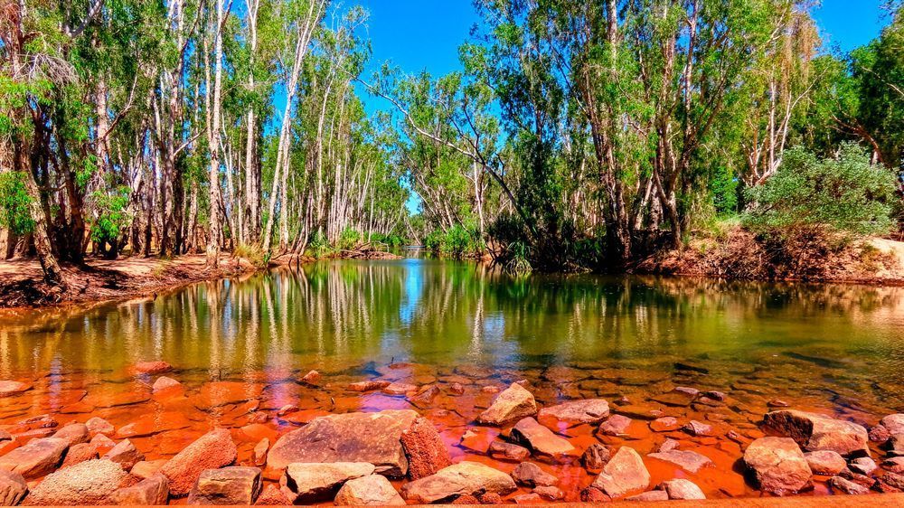 "Whispers Of The Billabong" Photography Art | Lisa Jane Nature Photography