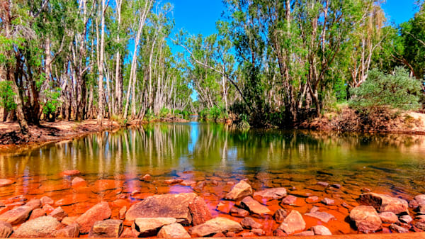"Whispers of the Billabong"