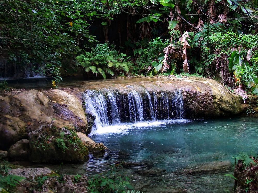 "Rainforest Water Cascade" Photography Art | Lisa Jane Nature Photography