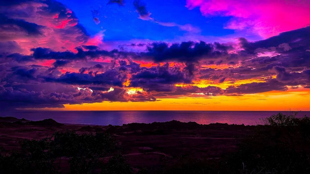 "Color Splash" Photography Art | Lisa Jane Nature Photography