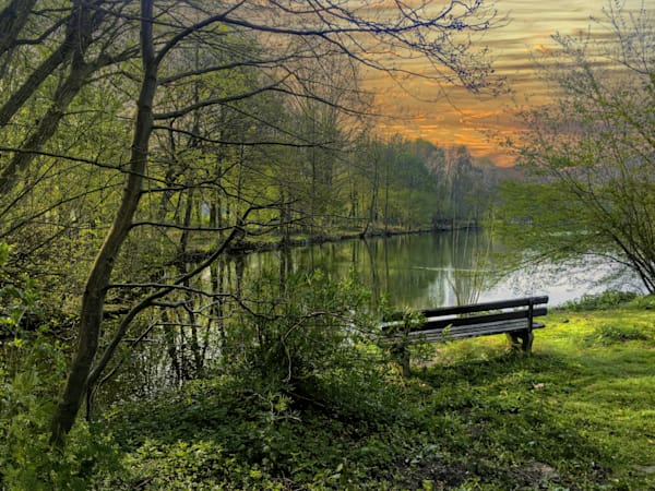 "The Solitary Spectator"