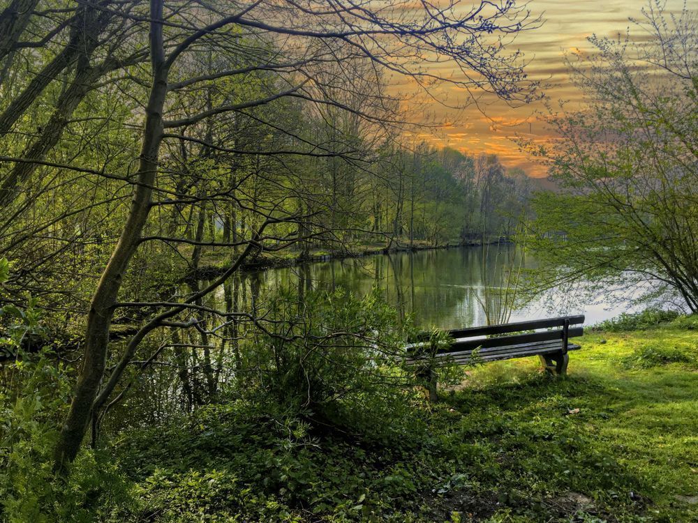 "The Solitary Spectator" Photography Art | Lisa Jane Nature Photography