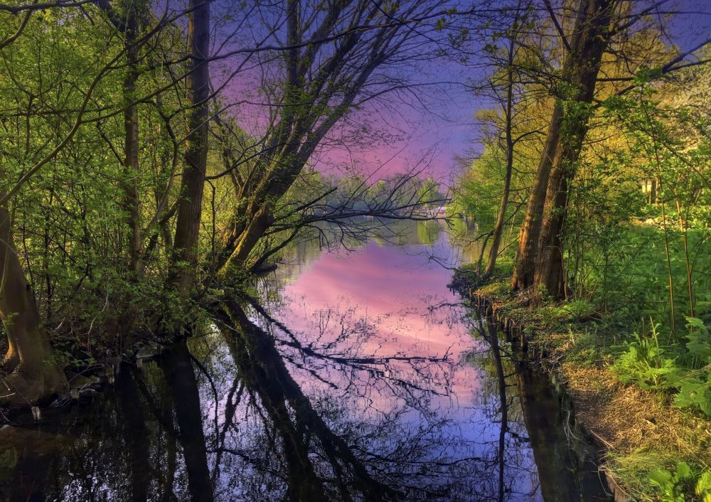 "Twilight’s Looking Glass" Photography Art | Lisa Jane Nature Photography