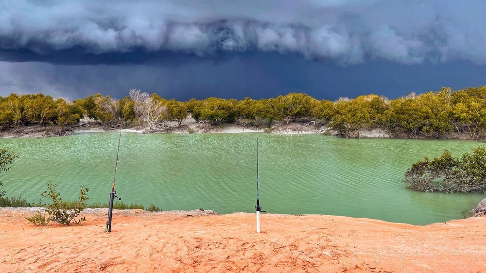 "Fishing On The Edge" Photography Art | Lisa Jane Nature Photography