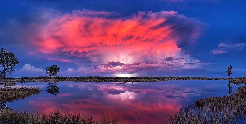 "Radiant Reflection" Photography Art | Lisa Jane Nature Photography