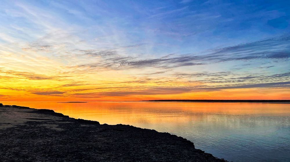 "Golden Silence" Photography Art | Lisa Jane Nature Photography