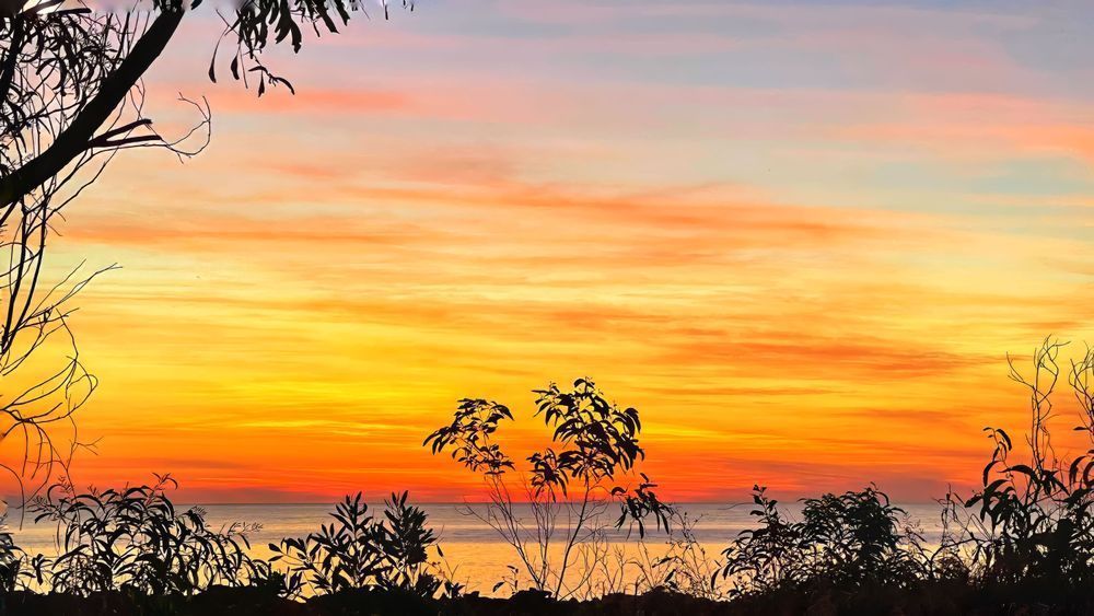 “Embers Of The Evening Sky” Photography Art | Lisa Jane Nature Photography