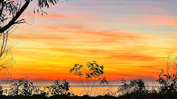 “Embers of the Evening Sky”