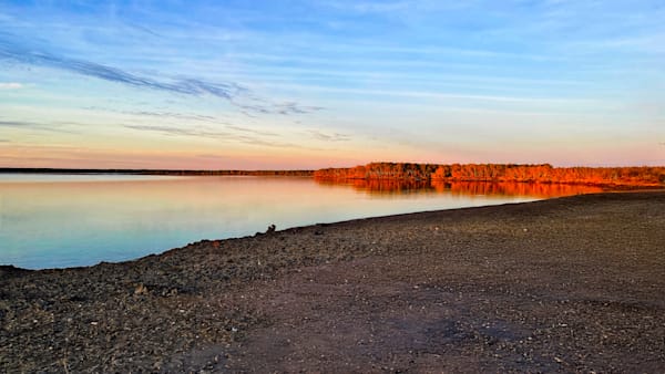 "Sun-Kissed Stillness"