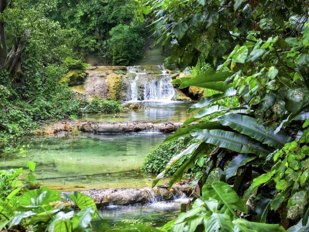 "The Emerald Staircase" Photography Art | Lisa Jane Nature Photography