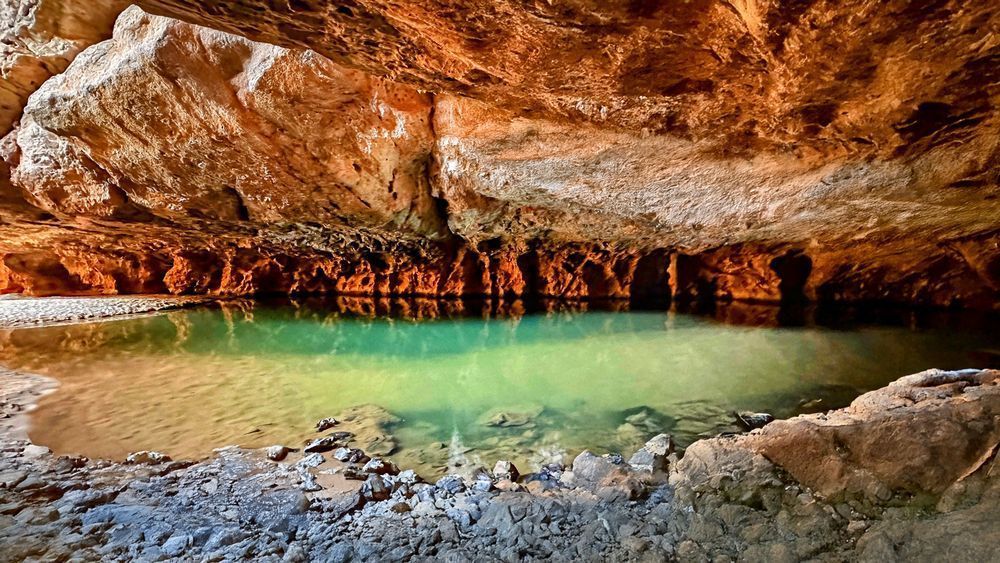 "Hidden Treasure" Photography Art | Lisa Jane Nature Photography