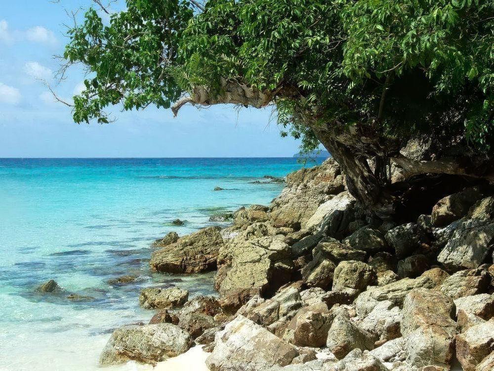 "Ocean Breeze" Photography Art | Lisa Jane Nature Photography