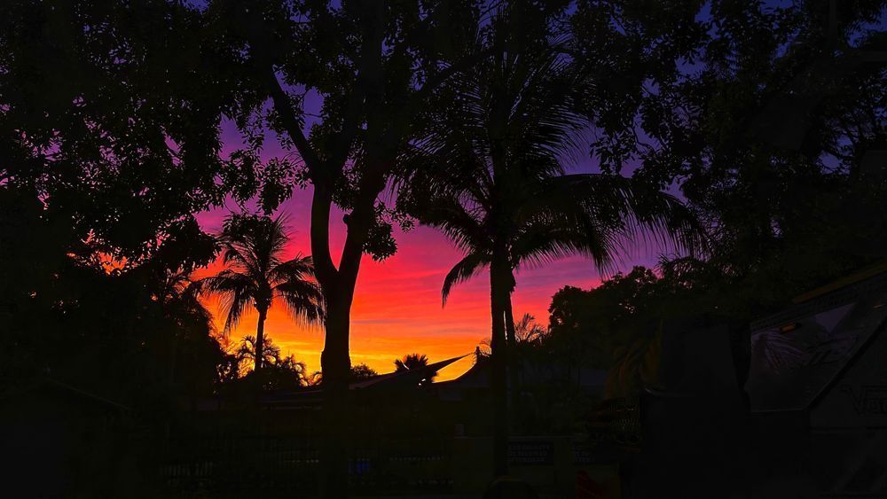 "Tropical Twilight" Photography Art | Lisa Jane Nature Photography