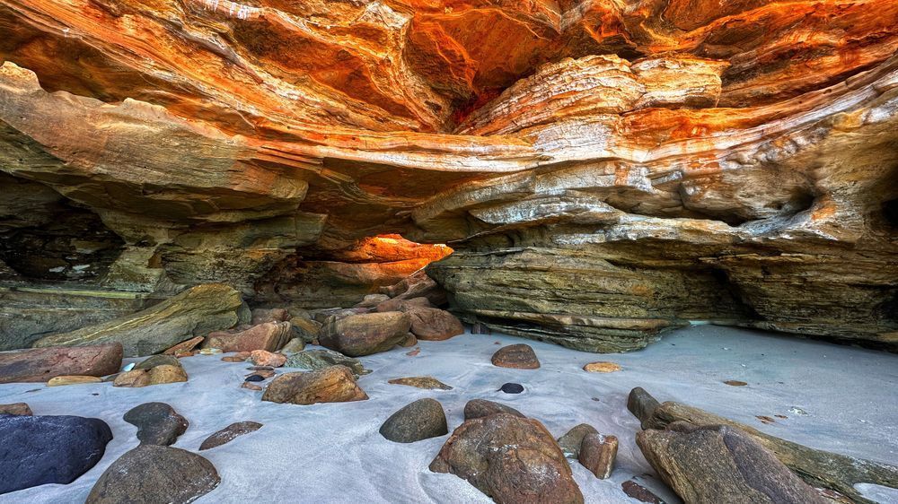 "Art Of The Earth" Photography Art | Lisa Jane Nature Photography