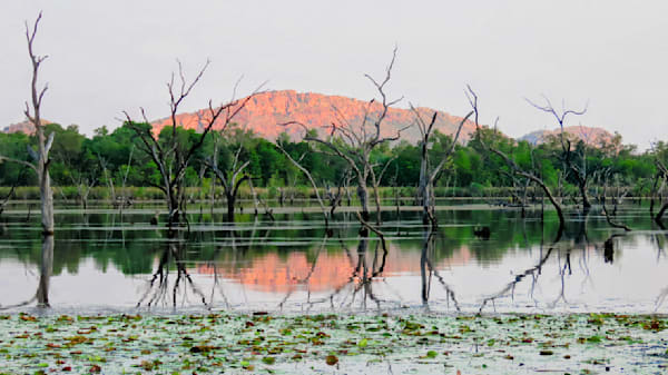 "Kununurra Reflections"
