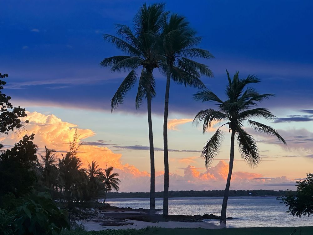 "Tropical Dreams At Dundee Beach" Photography Art | Lisa Jane Nature Photography