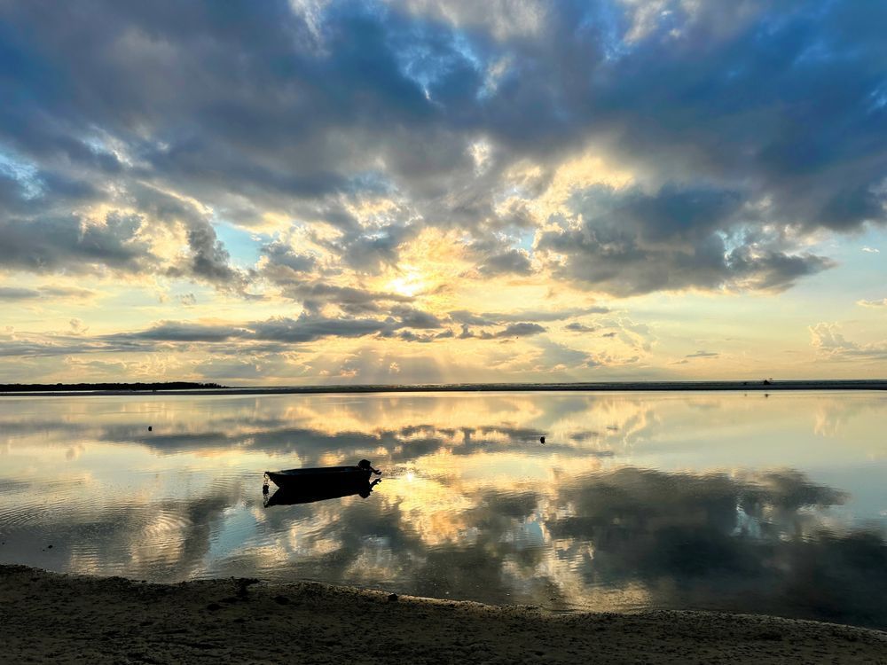 "Sunrise Dream" Photography Art | Lisa Jane Nature Photography