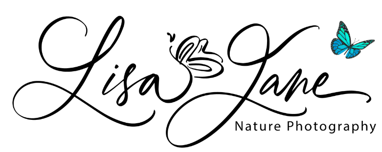 Mdawmdawmdawmdaw7qgraepd6cacehr zcfbfywxu2fyveayeunrgwctqqqltnerwweter6yomfiojy24adow ljj7f22f2vd2s3k0fn 38ezqodftc2xeuhdjufahdziomokxodj3hs jg da6ji5eudq olwagpj5emn5zzsmebnz9wq mcavb6c vhtd2joemqdxtuvspte4b3mmnzrttdeoj 7i6qbqwltjpg kxcpppzrvy8rvib cpqcruusfsibfycyc4fqhkk8ilx8xid3nf9wmrgz labp jbj3rgdzu uavazji4cq5djh8fspwb1xqhir7ojbvzhuois4lyzwtec6zm6u6xbev8l gaw zijp7fy sbxlcihy6d9irkvtbwtrqnu8tw