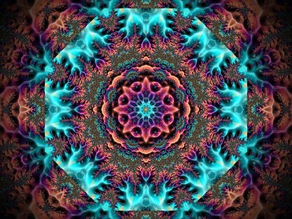 Living Symmetry