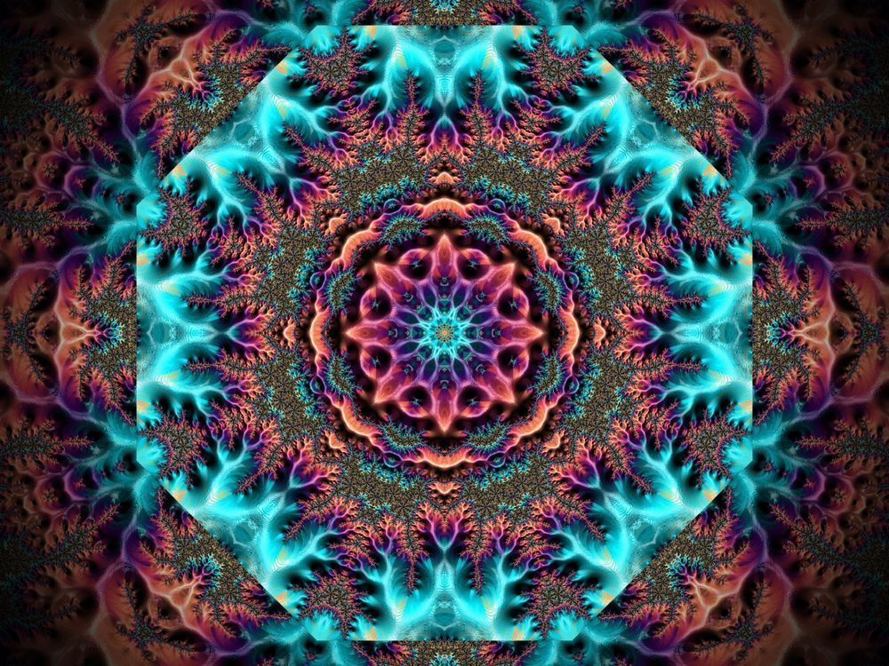 Living Symmetry
