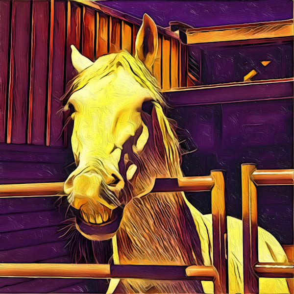 Edited in Prisma app with Mononoke
