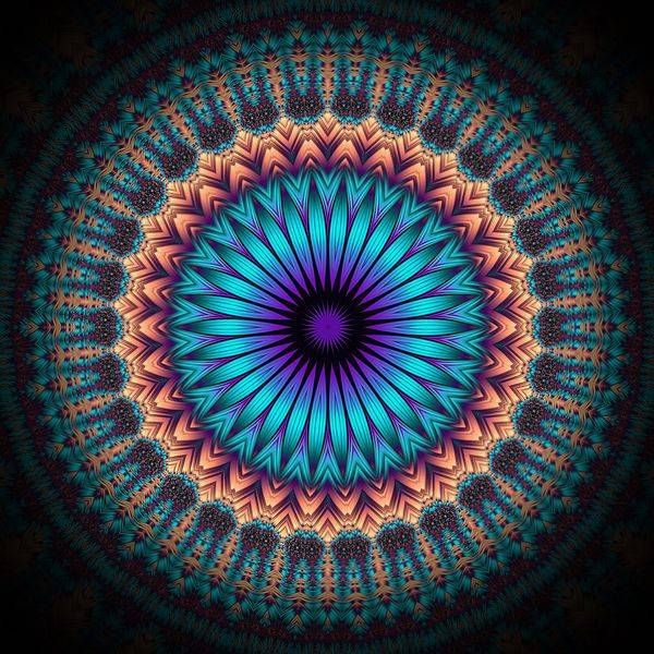 Luminous Bloom