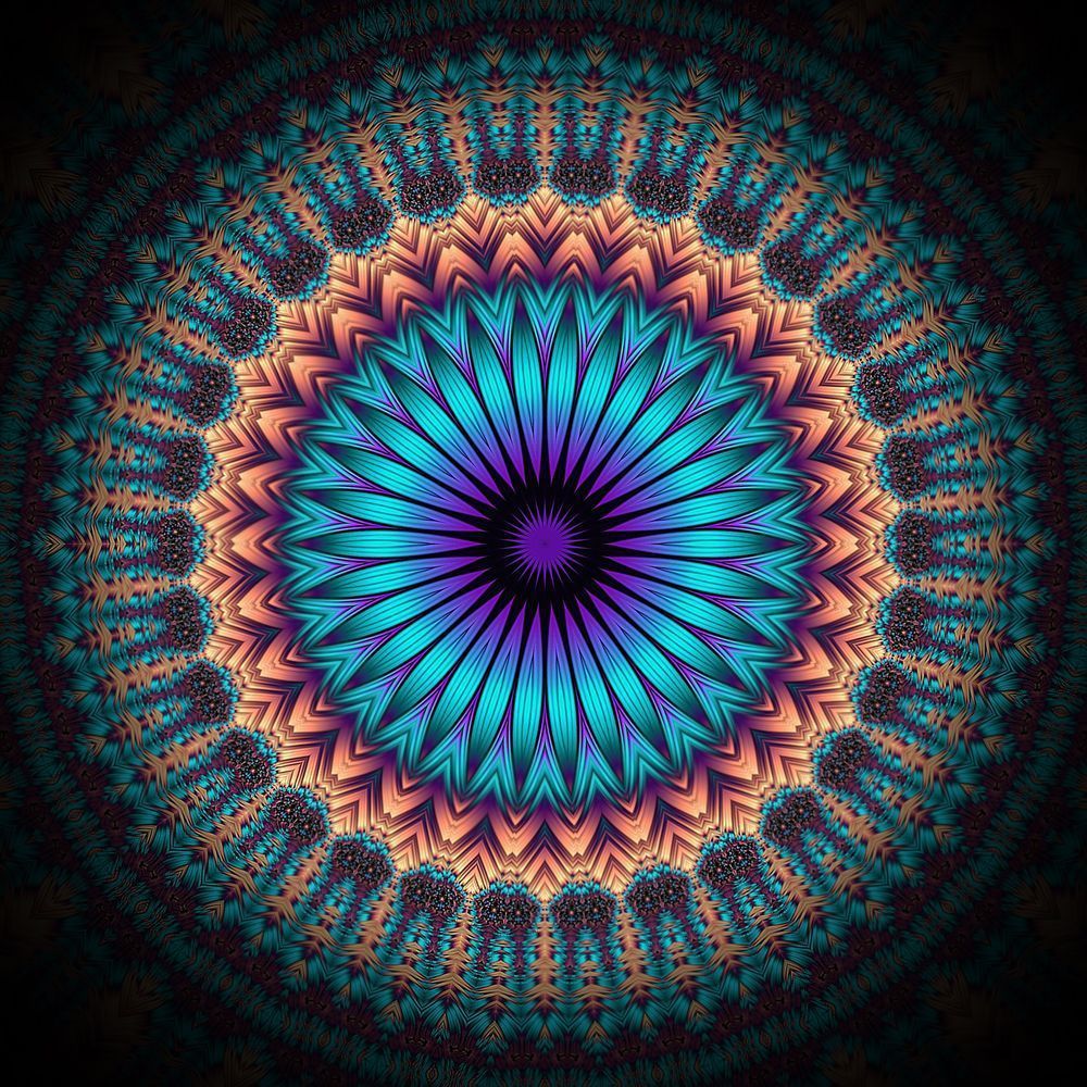 Luminous Bloom