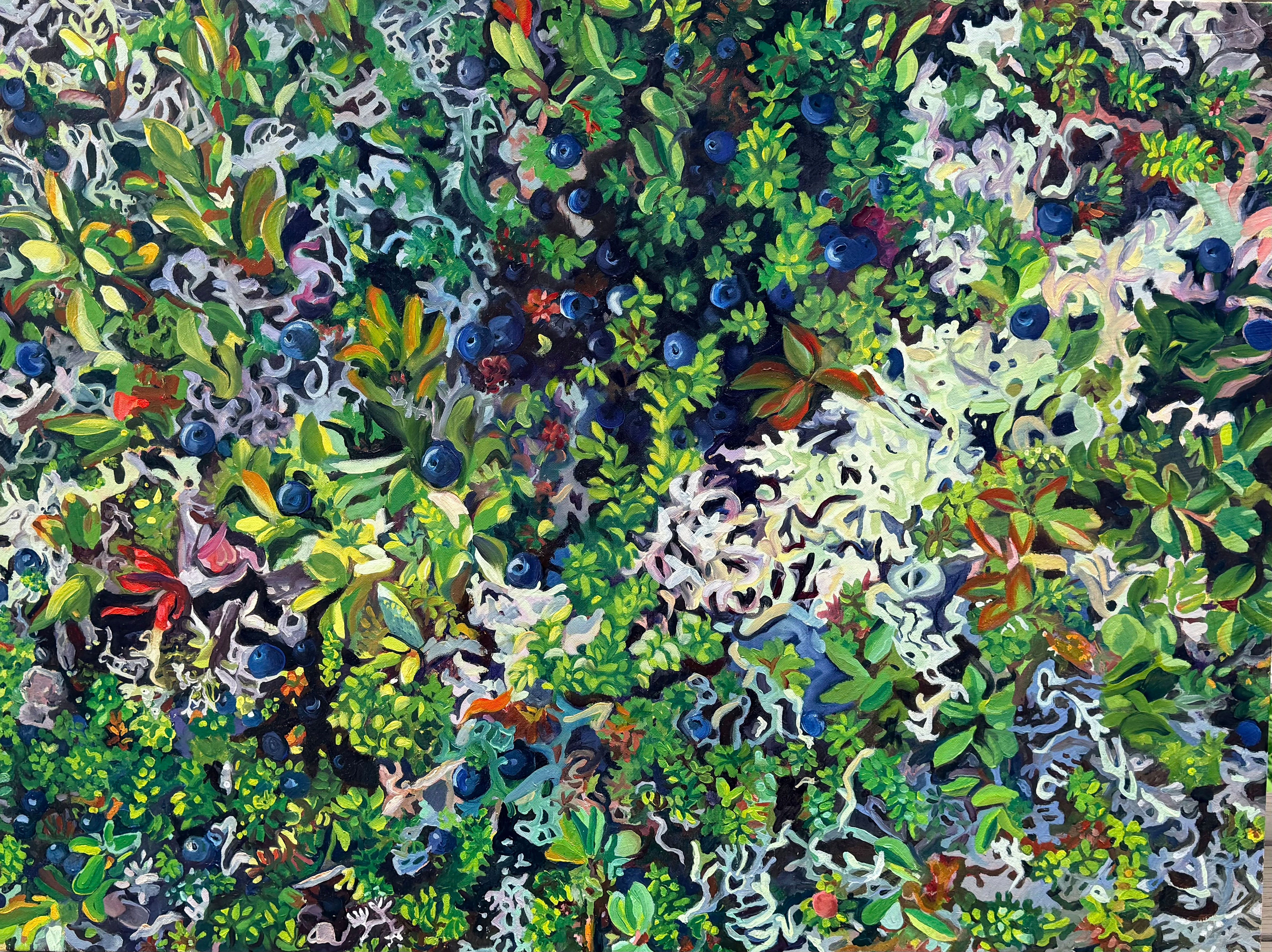 
        <div class='title'>
          blueberryfields
        </div>
       