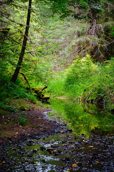 Woods Creek, Lewis County, Washington, 2016
