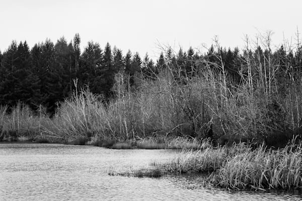 Winter at Deep Lake, Washington, 2016
