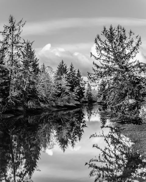 Winter Afternoon, Jessie Slough, Grays Harbor County, Washington, 2017