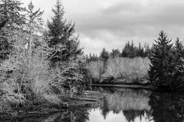 Winter, Jessie Slough, Grays Harbor County, Washington, 2017
