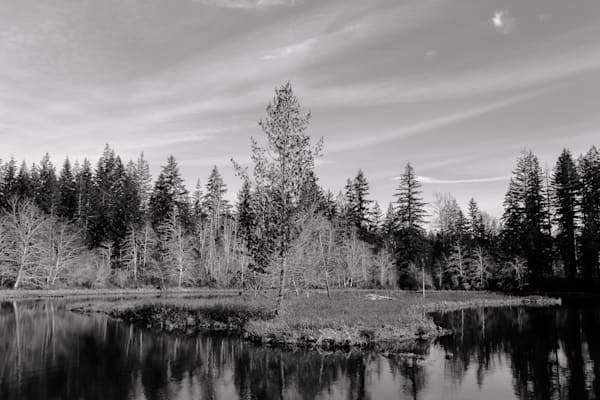 Winter, Lake West, Mason County, Washington, 2017