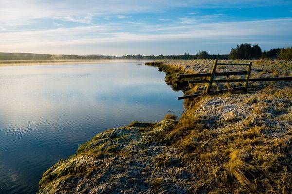 Winter Morning, Palix River, Washington, 2021