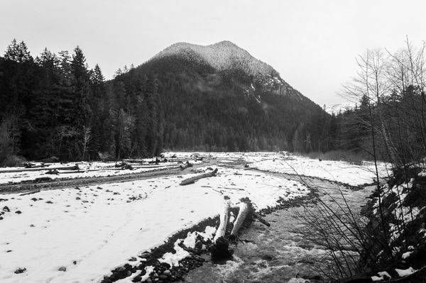 Winter Snow, Carbon River, Washington, 2016